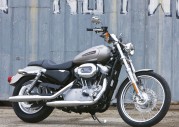 Harley-Davidson XL 883C Sportster 833 Custom